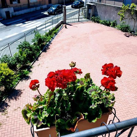 Casa Marina Daire Verbania Dış mekan fotoğraf