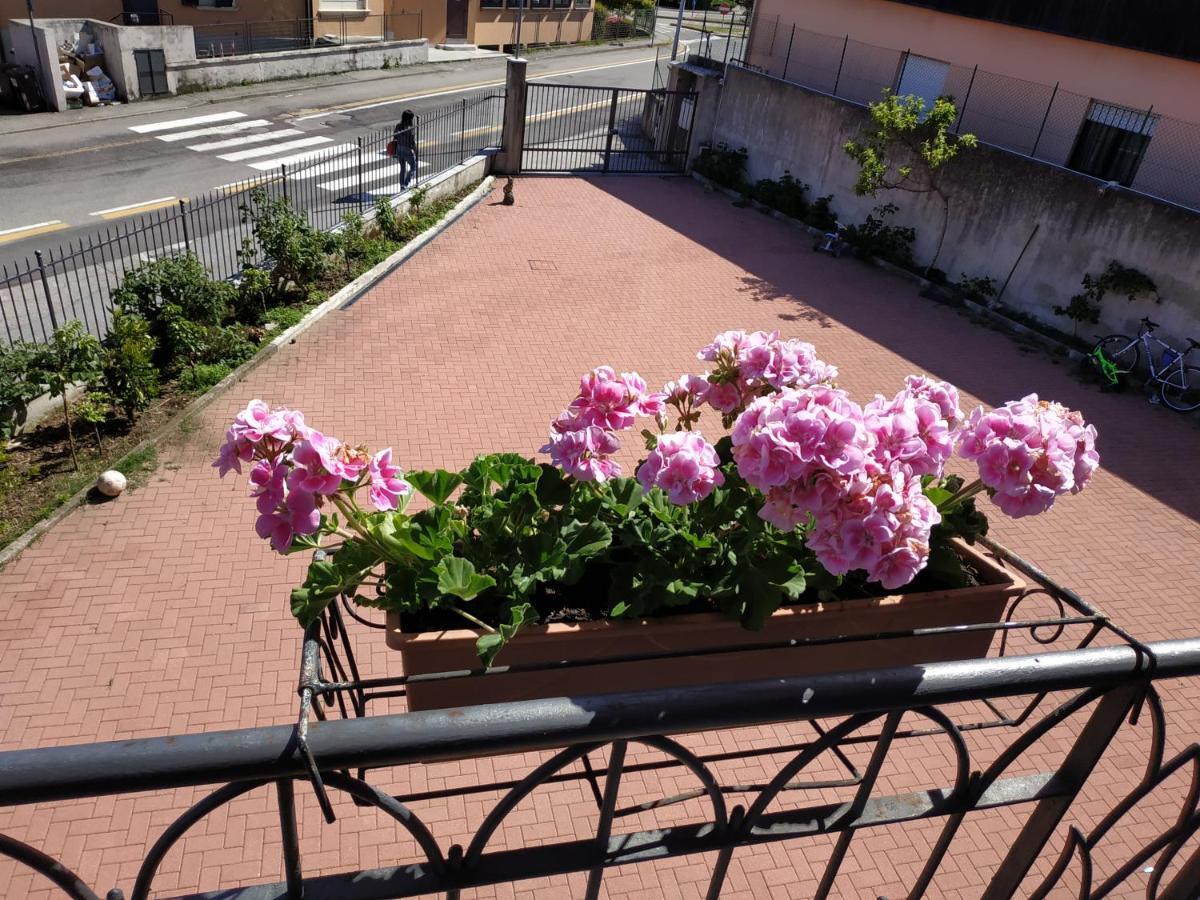 Casa Marina Daire Verbania Dış mekan fotoğraf